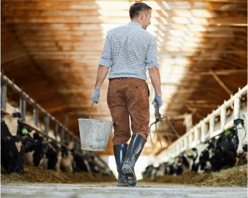 Fermier dans une étable